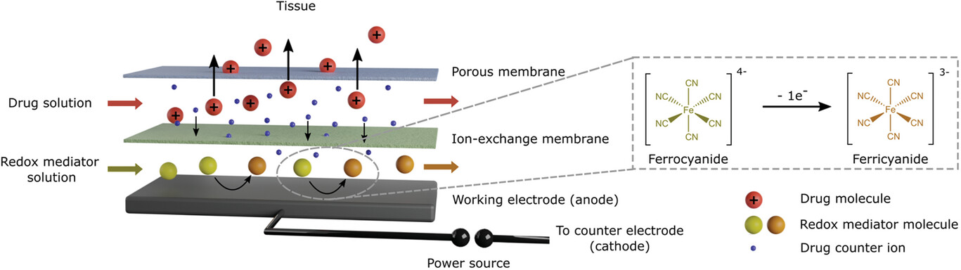 Illustration of the redox flow iontophoresis concept, Adv. Mater. Technol. 9, 2024